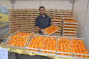 Praznik kakijev v Strunjanu 3